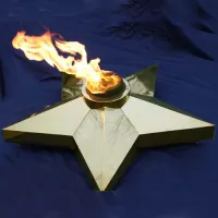 Звезда (газовая горелка) (1636) производство комплект горелка ГВД 379 10 89 00 ПС - ø 1000 мм. ветроустойчивая  в Осташкове